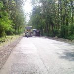 Kanan dan kiri jalan menuju Dusun Cinta di Desa Blimbing, Kecamatan Pegaden Barat, Subang dipenuhi pepohonan.