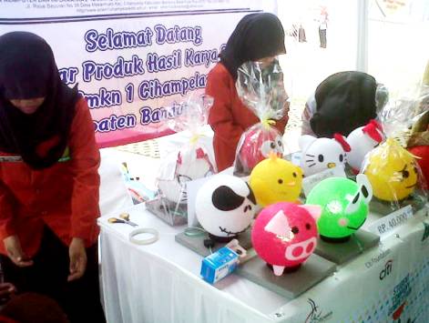 Bandung Region Company Competition Youth Entepreneur Literacy