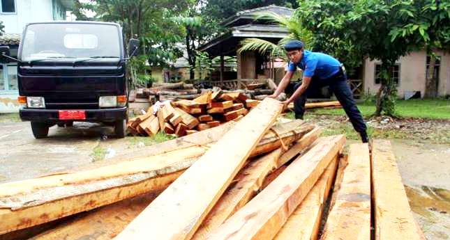 Pembalakan Kayu