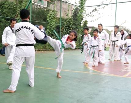 Pengcab Taekwondo Indonesia (TI) Kabupaten Bekasi