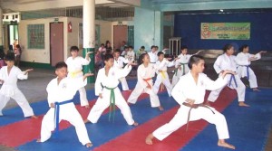 Karateka Junior