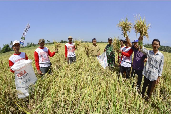 PANEN-RAYA