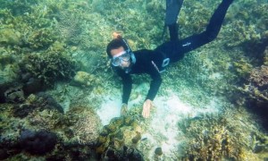 konservasi taman laut kima