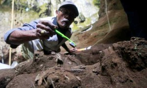 Penemuan Fosil Manusia Purba