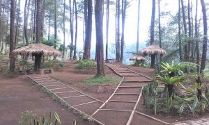 Wisata Hutan Pinus Cikole Lembang PAL 16 (3)