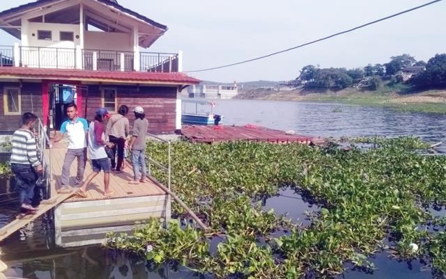  Eceng  Gondok  Penuhi Danau Jatiluhur jabarekspres com