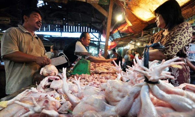 Ilustrasi pedagang ayam yang tetap menjual ayam potong meski harga ayam kembali mengalami kenaikan.