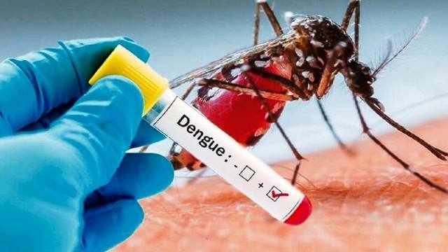 Ilustrasi Demam Berdarah Dengue (DBD). (Istimewa)