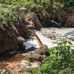 Pencemaran aliran Sungai Cipicung di Kabupaten Bandung Barat oleh limbah air lindi atau air sampah Tempat Pembuangan Akhir (TPA) Sarimukti