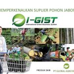 PT GMN membantah menjanjikan memberikan keuntungan pada bisnis I-GIST dalam bentuk pengelolaan investasi tanam pohon Jabon