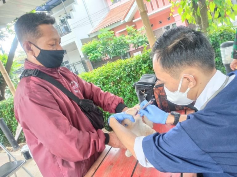 Vaksinasi Flu Burung dan Rabies Gratis di Cimahi untuk Hewan Peliharaan