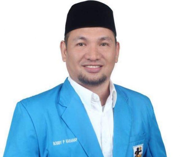 Bobby P Harahap, Ketua DPD KNPI Kota Depok