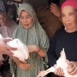 Beberapa warga Cianjur lanjut usia mendapat hadiah ayam usai di vaksin