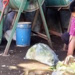 Pengolahan sampah organik dengan cara dipotong-potong sebelum dimasukan ke dalam penggiling, Pasar Melong, Kamis (3/6). (Intan Aida/Jabar Ekspres)