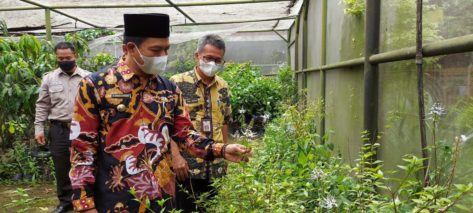 Bupati Bandung Dadang Supriatna, melihat tanaman obat dan buah-buahan yang ada di greenhouse milik Dinas Pertanian Kabupaten Bandung. (Yully S Yulianty/Jabar Ekspres)