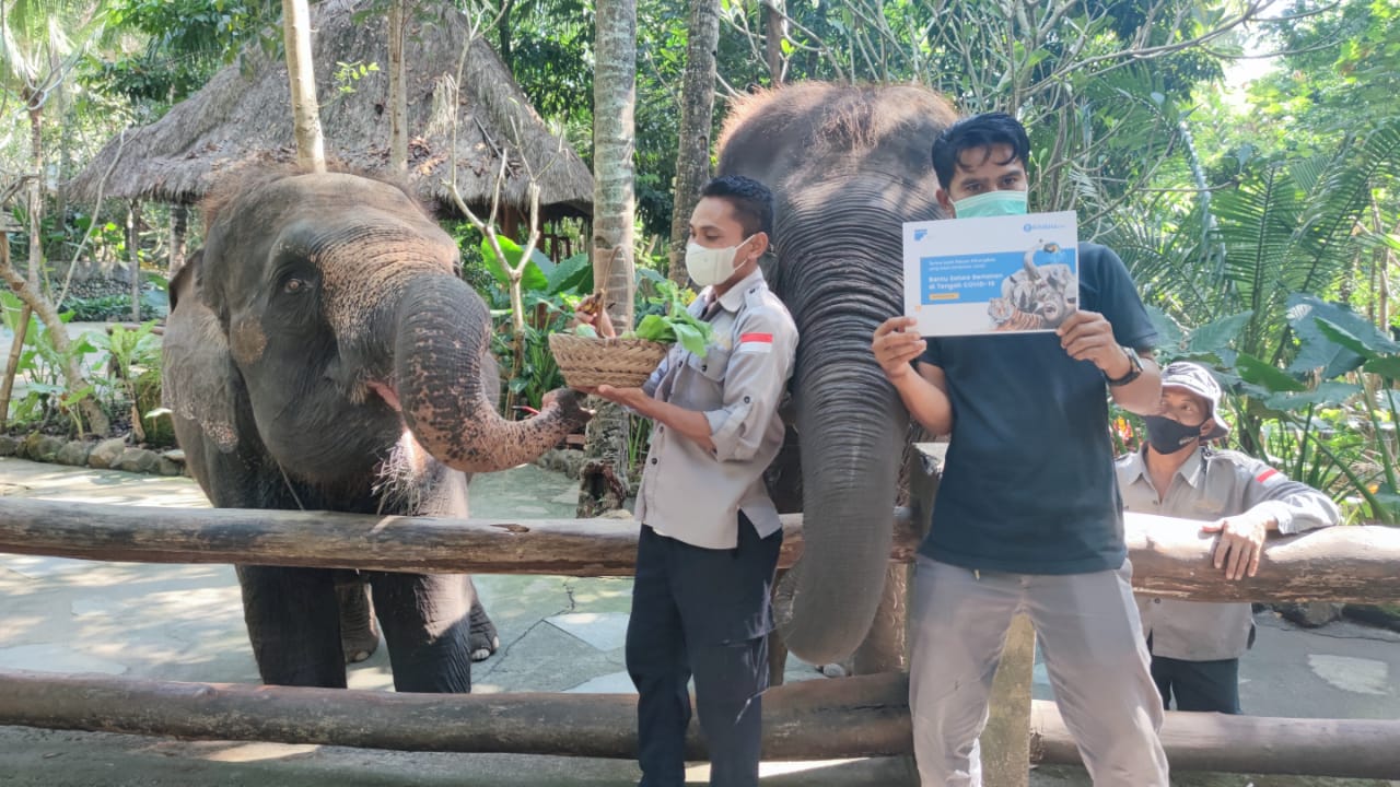 Filantra bergerak memberikan bantuan makanan untuk para Satwa di Bandung Zoo