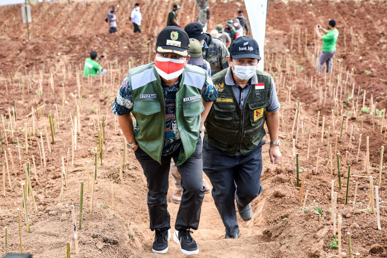 Bupati Bandung Dadang Supriatna