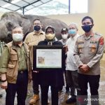 Bupati Bogor Ade Yasin berkunjung ke Taman Safari Indonesia di Kawasan Puncak, Cisarua, Kabupaten Bogor, Jawa Barat, Kamis (26/8/2021). (ANTARA/HO-Pemkab Bogor)