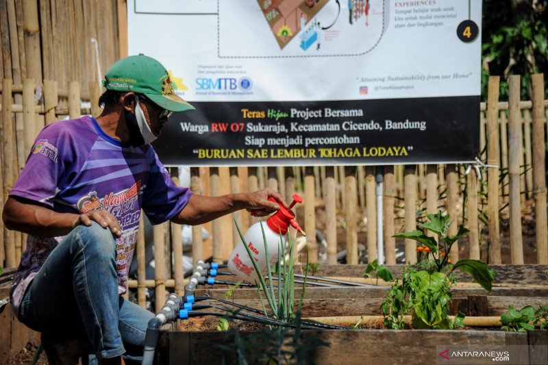 Program Kebun Teras Hijau yang digagas Distan Karawang membagikan benih sayuran.