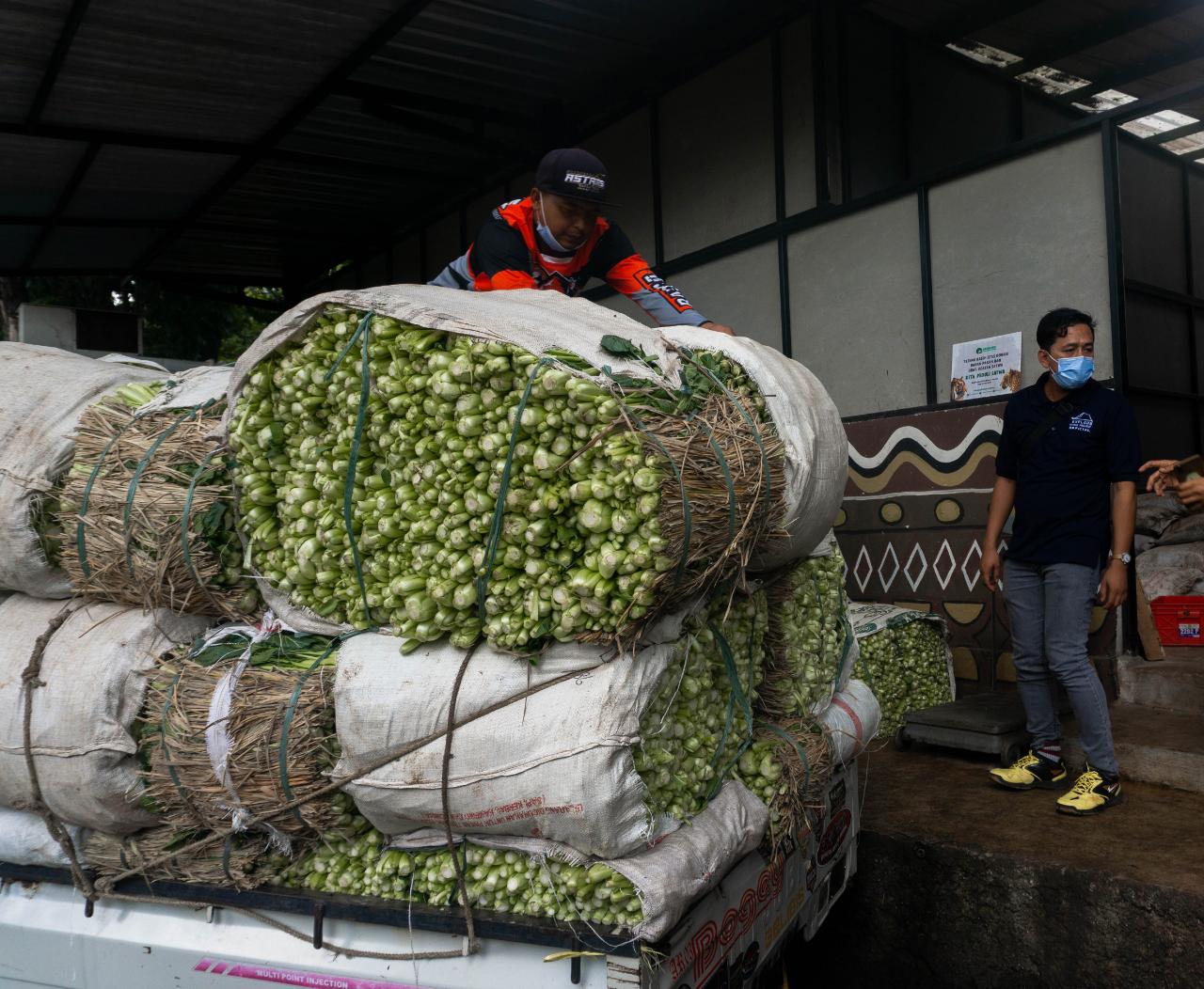 Bantuan sayuran sebanyak 7 ton untuk pakan hewan di Kebun Binatang Bandung