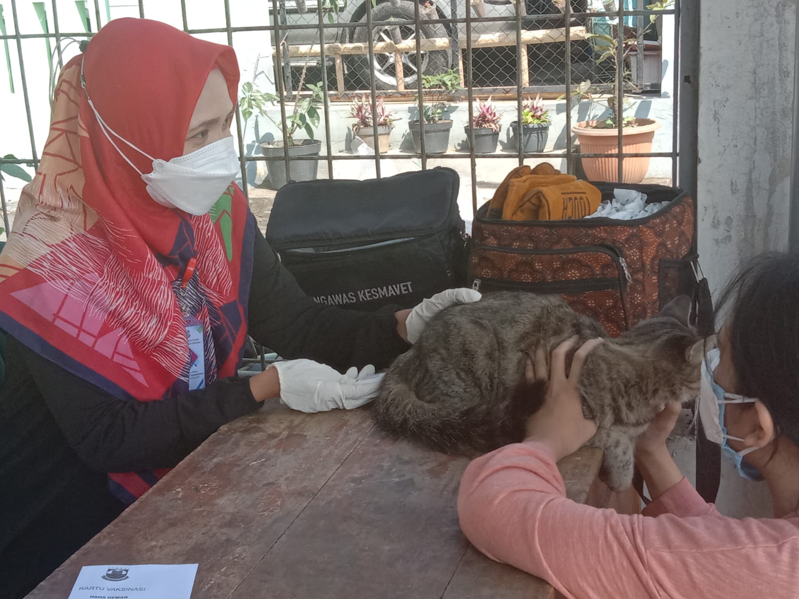 Salah satu petugas Dispangtan Kota Cimahi lakukan cek suhu pada hewan peliharaan milik warga, Jumat (20/8).(Intan Aida/Jabar Ekspres)