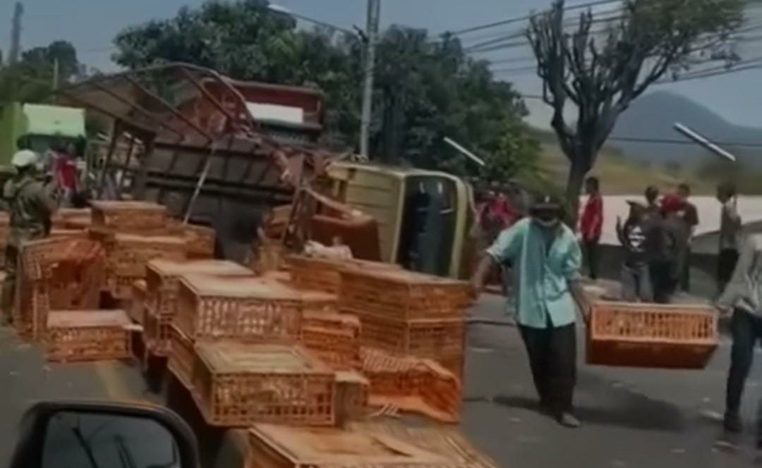 Evakuasi truk pengangkut ayam yang terguling. (Tangkapan layar warganet)