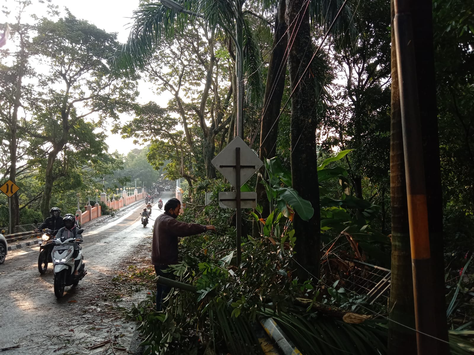 Beberapa tumbangnya pohon dan kendornya kabel listrik akibat hujan angin kencang di Jalan Rd. Demang Hardjakusumah, Dok. Intan Aida/Jabar Ekspres