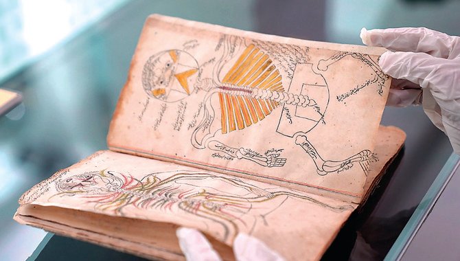 Sebuah manuskrip anatomi manusia paling langka dalam bentuk Buku Kedokteran kuno yang berasal dari abad ke-14 telah ditemukan