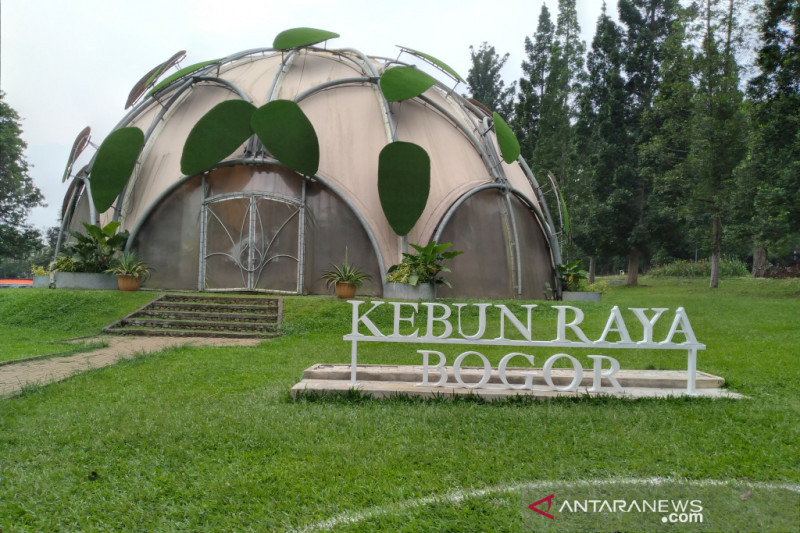Kebun Raya Bogor. (ANTARA/Riza Harahap)