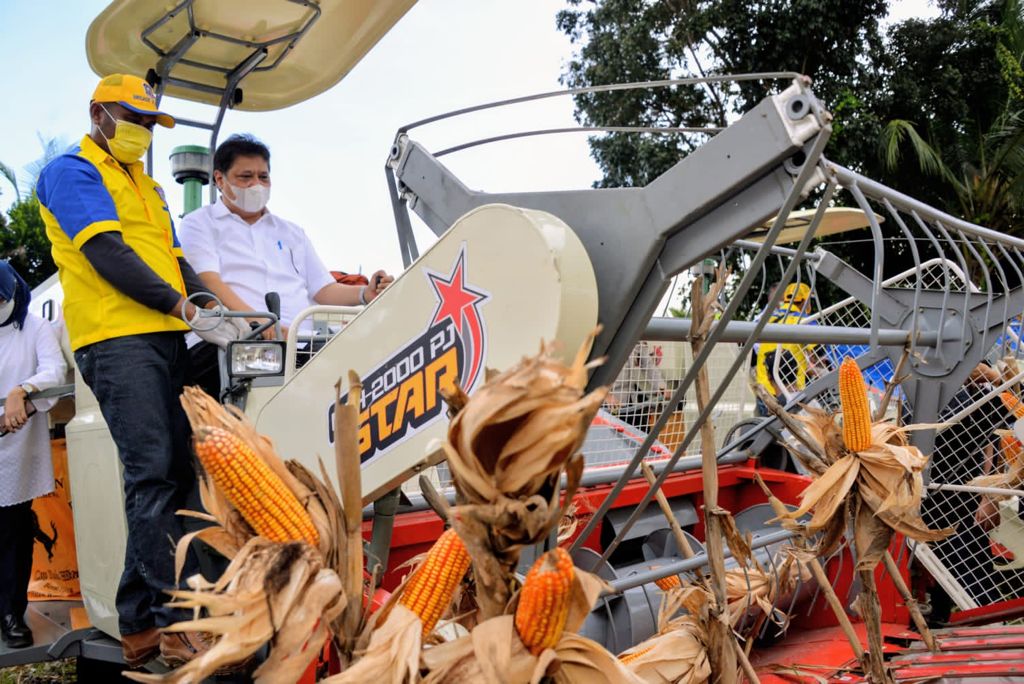 Menteri Koordinator Bidang Perekonomian Airlangga Hartarto ikut memanen tanaman Jagung sebagai komoditas unggulan Provinsi Gorontalo
