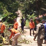 Petugas BPBD Cianjur, Jawa Barat, dibantu puluhan relawan membantui menyingkirkan pohon yang tumbang akibat angin puting beliung di Kecamatan Cibeber, sehingga menutupi jalan desa, Jumat (17/9). ANTARA POTO. (Ahmad Fikri)