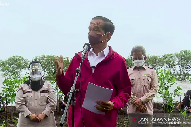 Tangkapan Layar - Presiden Jokowi usai menanam Mangrove bersama masyarakat di Kabupaten Bengkalis, Riau, Selasa (28/9). (ANTARA/Indra Arief)