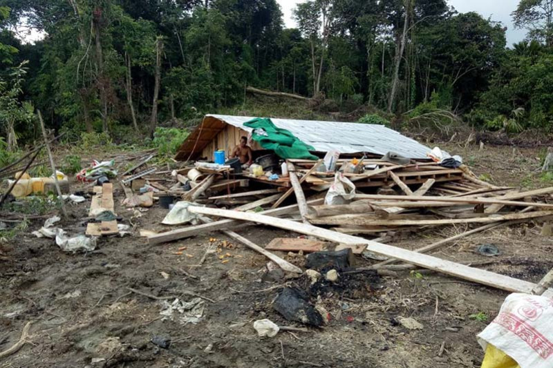 Rumah warga roboh diamuk gajah di Desa Bunin Serbajadi, Aceh Timur. ANTARA/HO