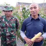 Dansektor 22 Citarum Harum Kolonel Infantri Eppy Gustiawan menjelaskan tentang penanaman jagung Paragon