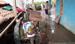 Badan Penanggulangan Bencana Daerah (BPBD) Kabupaten Bandung Barat (KBB) mencatat bencana longsor dan banjir bandang terjadi di tiga titik dan merusak sejumlah rumah warga.