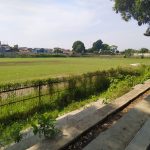 Kondisi Stadion Sangkuriang tampak banyak ditumbuhi rumput liar.