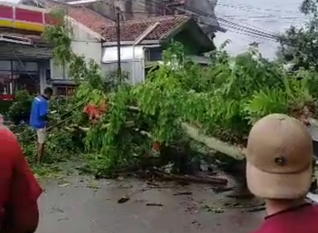 TUMBANG: Pohon tumbang di Kabupaten Bandung hantam pengendara motor.