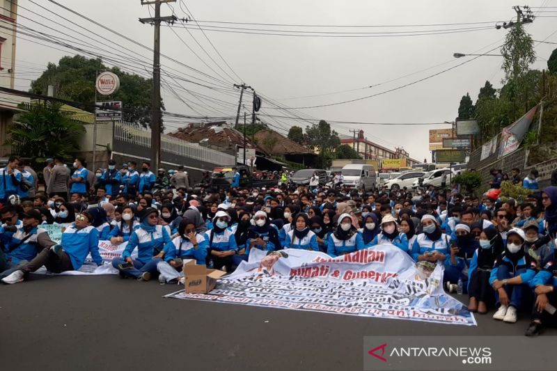 Ribuan buruh menggelar aksi duduk di Jalan Raya Cipanas-Cianjur, Jawa Barat, setelah dihadang petugas untuk menggelar aksi didepan Istana Cipanas, Cianjur, Jawa Barat, Selasa (23/11). ANTARA FOTO/Ahmad Fikri