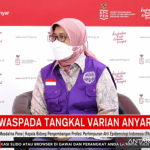 Kepala Bidang Pengembangan Profesi Perhimpunan Ahli Epidemiologi Indonesia (PAEI) Masdalina Pane. (ANTARA/ Anita Permata Dewi)