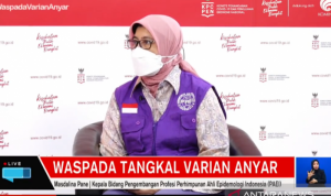 Kepala Bidang Pengembangan Profesi Perhimpunan Ahli Epidemiologi Indonesia (PAEI) Masdalina Pane. (ANTARA/ Anita Permata Dewi)