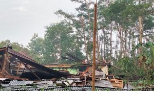 Beberapa rumah di pinggir jalan Raya KSU, Tirtajaya rusak parah akibat tertimpa pohon saat terjadi hujan deras disertai angin kencang beberapa waktu lalu. (Haris Samsuddin/Jabar Ekspres)