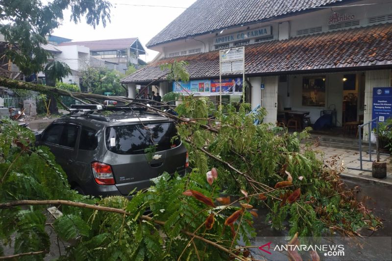 Sebuah pohon tumbang menimpa mobil warga di Kota Bandung, Jawa Barat, Rabu (10/11/2021). (ANTARA/Dokumentasi Pribadi)