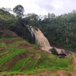 Debit air di Curug Cikondang di Kecamatan Campaka Mulya, Cianjur, Jawa Barat, terus meningkat seiring tingginya curah hujan di sebagian besar wilayah Cianjur. ANTARA/ Ahmad Fikri