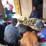 Warga yang tertimpa longsoran tanah di Desa Sukagalih, Kecamatan Takokak, Kabupaten Cianjur, Provinsi Jawa Barat, pada Minggu (21/11/2021) sudah mendapat bantuan medis dari petugas kesehatan. (ANTARA/Ahmad Fikri)