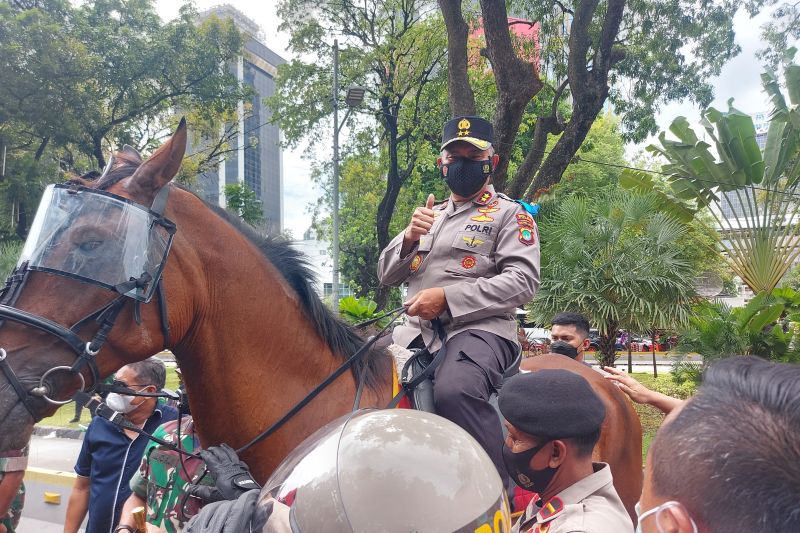 Kapolda Metro Jaya Irjen Pol Fadil Imran menaiki kuda jenis "Warmblood" bernama Ferdinand yang digunakan aparat Kepolisian sebagai pengamanan aksi buruh di Bundaran Patung Kuda, Jakarta Pusat, Kamis (25/11/2021) (ANTARA/MENTARI DWI GAYATI)