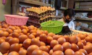 Penyebab Harga Telur Ayam Masih Tinggi di Tahun Baru