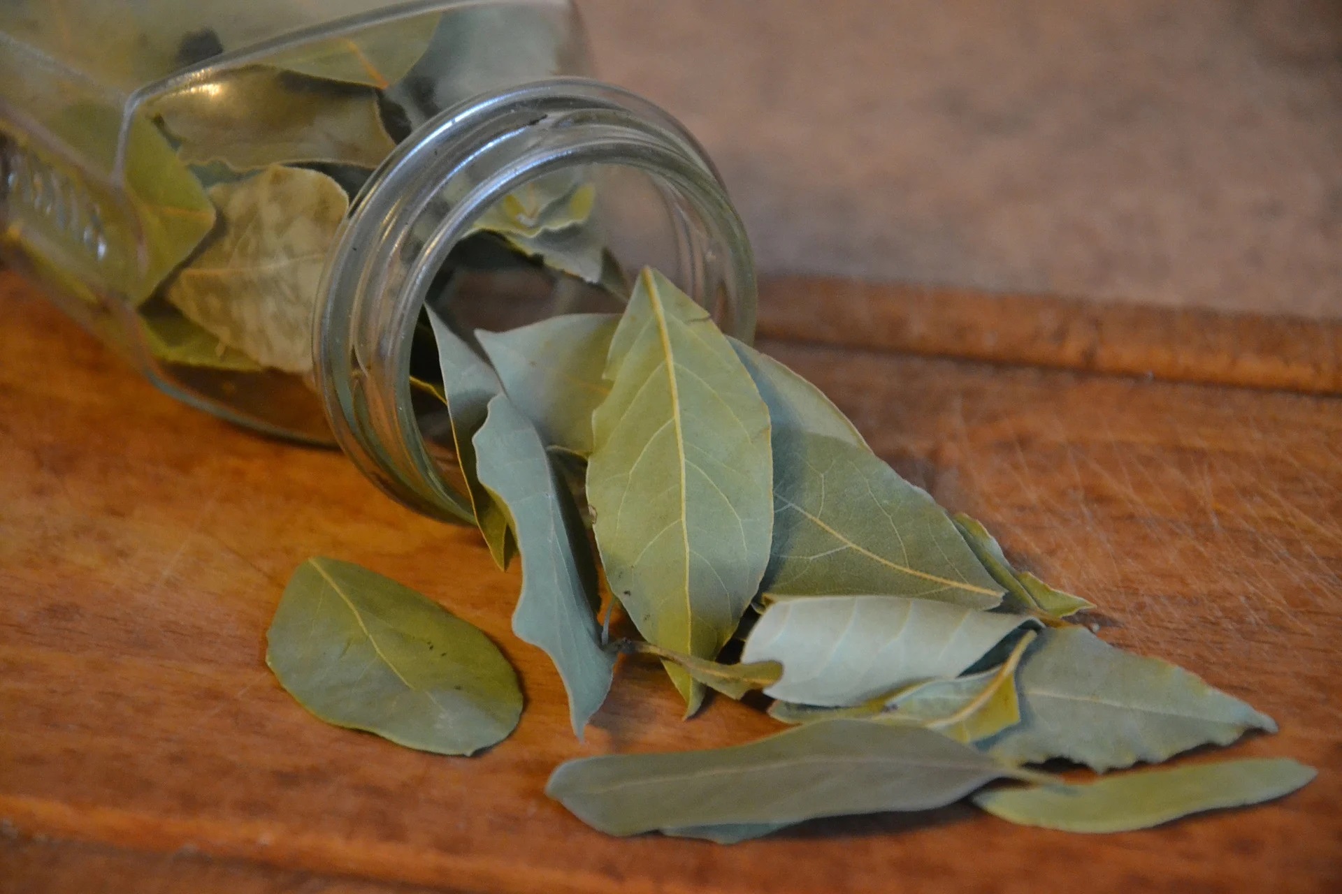 Ilustrasi: Manfaat toner daun salam. Foto: Pixabay