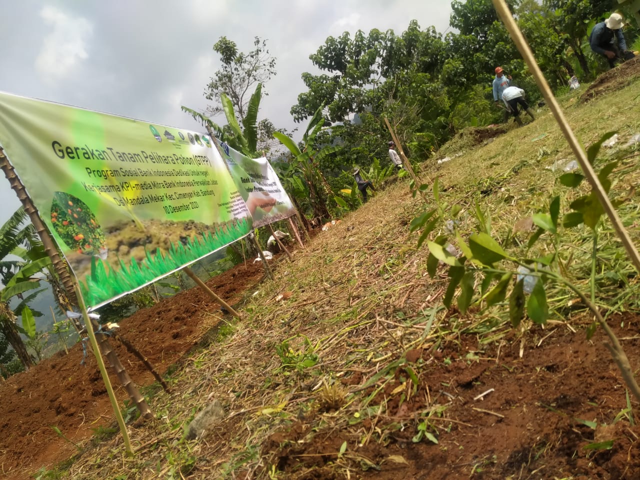 Atasi Lahan Kritis di Jawa Barat, BI Ingin Kembangkan Agroforestri.