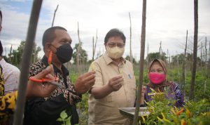 Menteri Koordinator Bidang Perekonomian meninjau langsung petani sayuran sekaligus memberikan motivasi dan peluang untuk mendapatkan bantuan stimulus dari pemerintah melalui KUR Pertanian