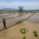 Desa Depok, Kecamatan Darangdan, Kabupaten Purwakarta targetkan 300 lahan milik warga tersertifikasi.